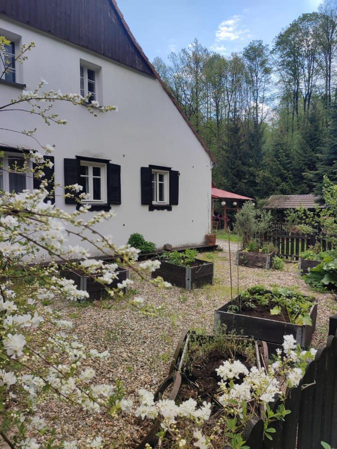 Lusatia Farm Leśna Exterior foto