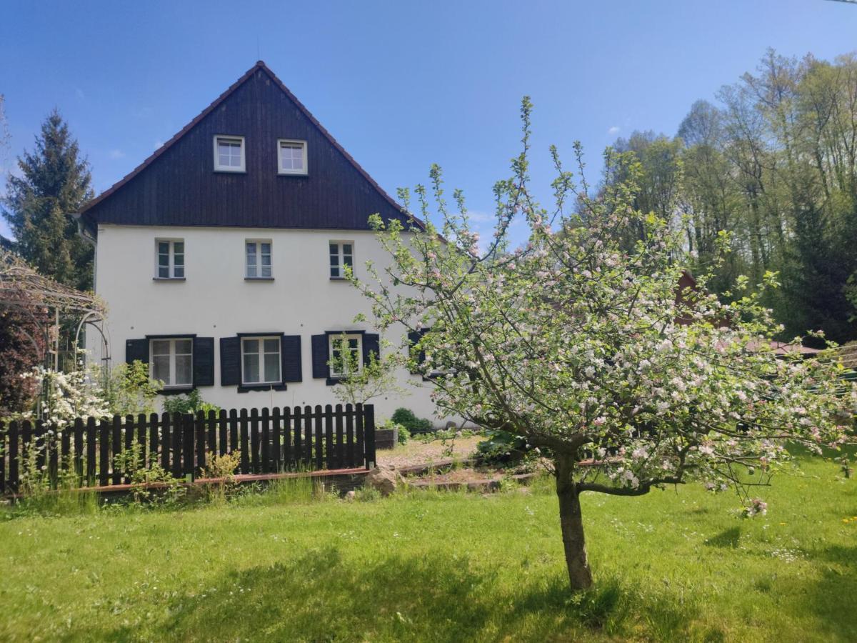 Lusatia Farm Leśna Exterior foto